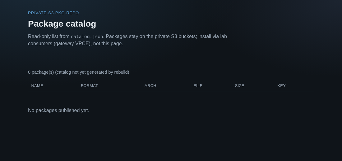 Package catalog S3 website showing empty table and No packages published yet